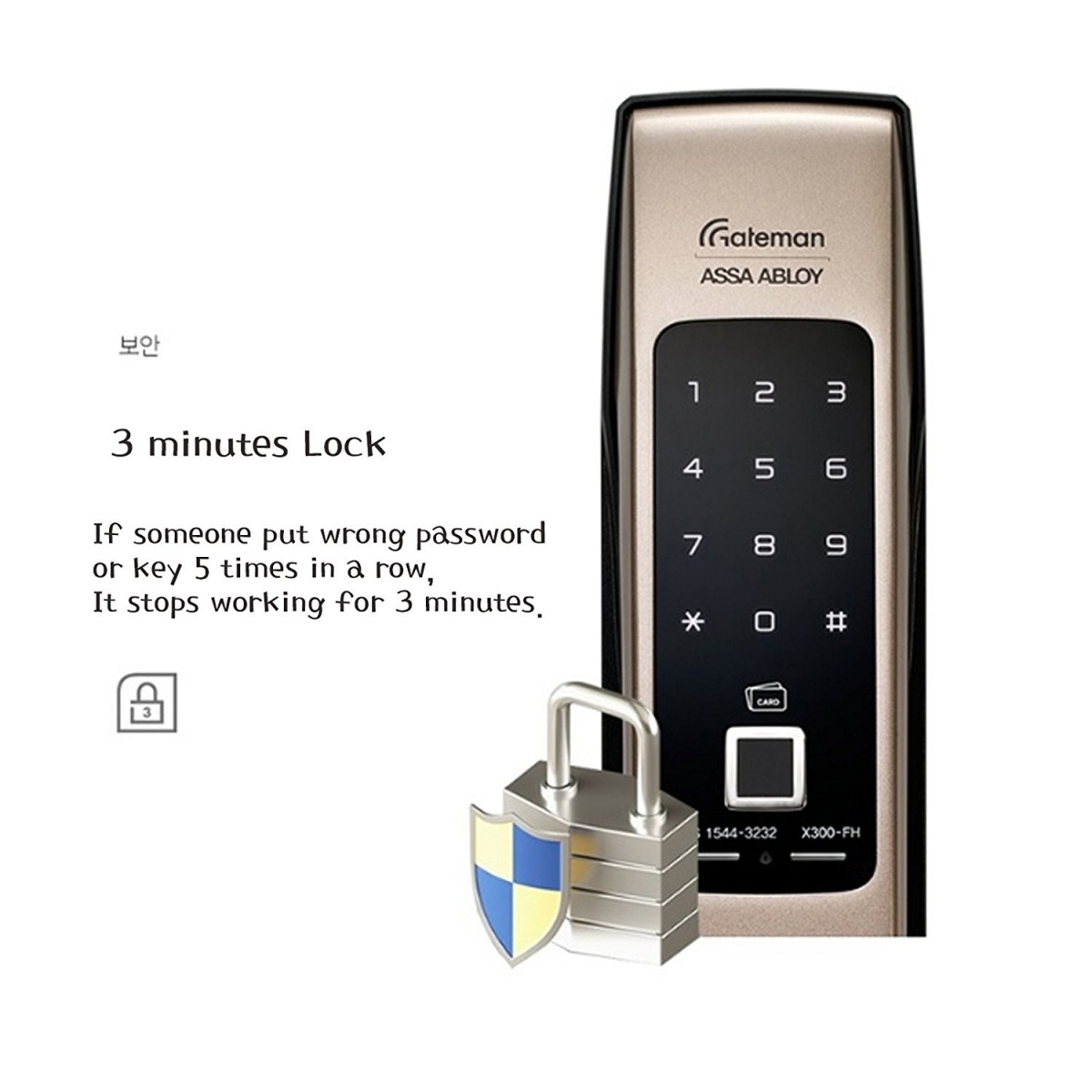 Gateman Smart Door Lock X300-FH